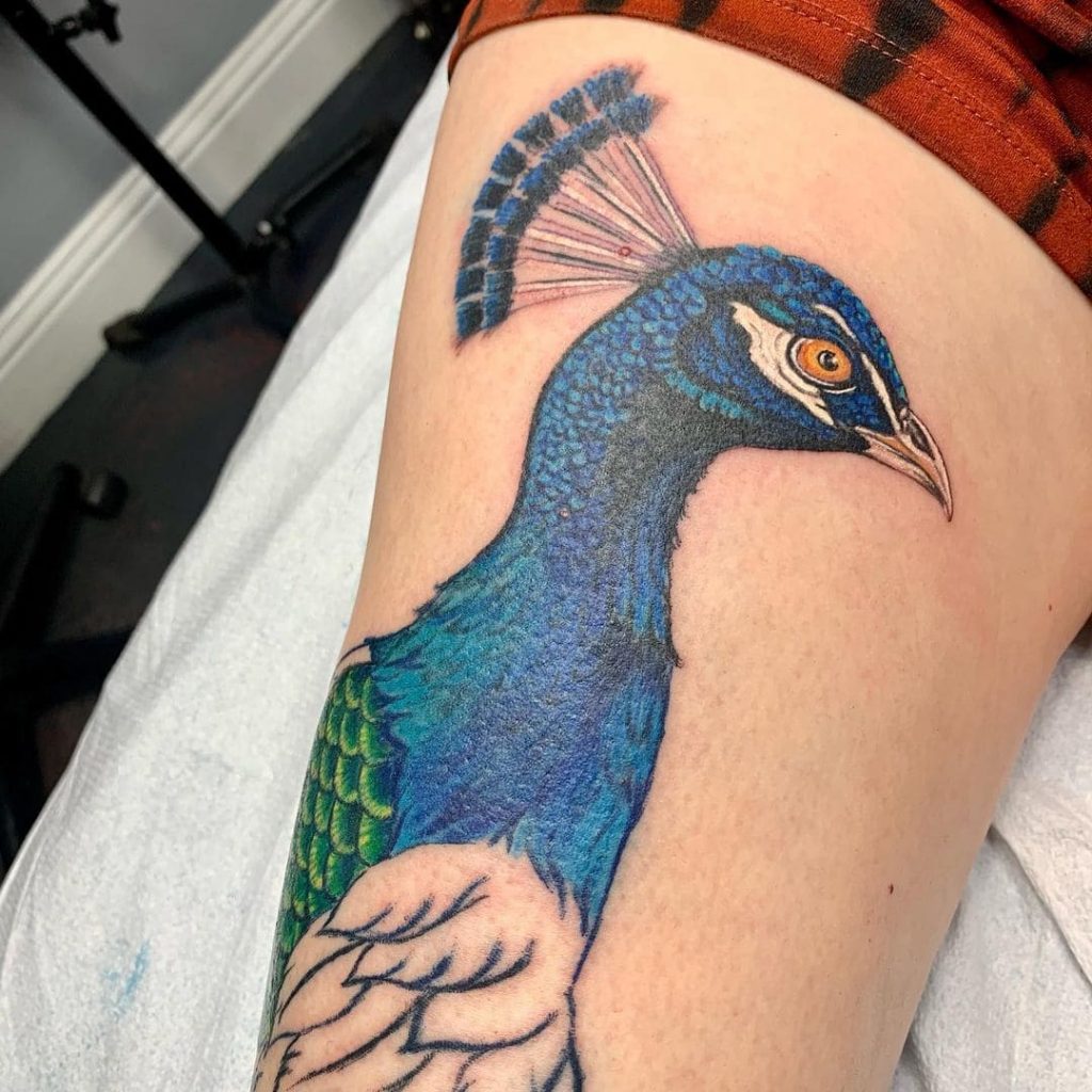 Peacock Tattoo 