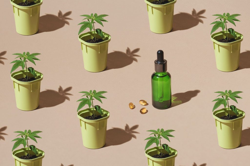 Myths To Debunk About CBD For Skincare - Need To Know