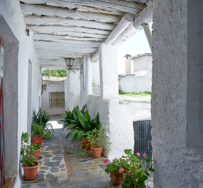 Lunch in the Alpujarras