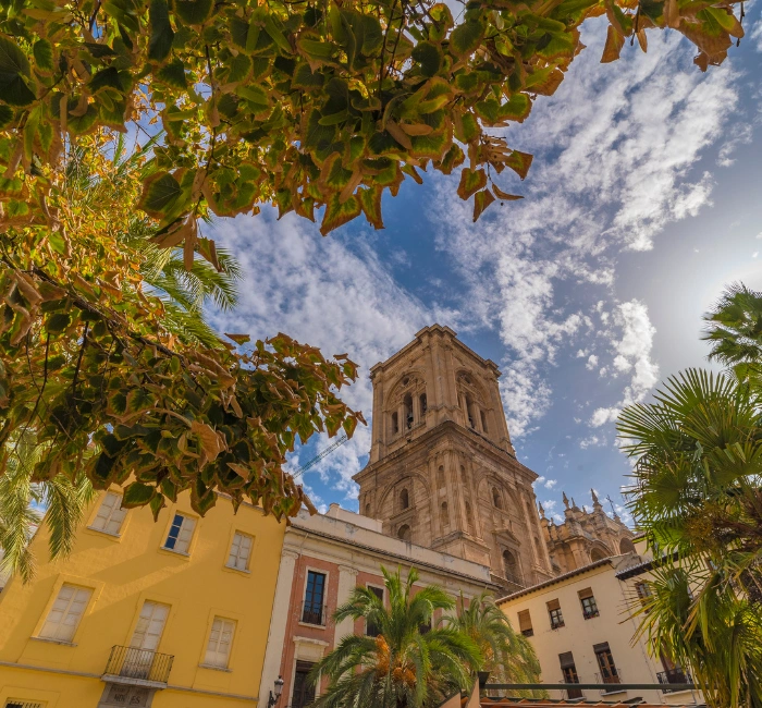 View of the cathedral of Granada between trees